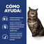 Hill's Prescription Diet Kidney Care k/d ração para gatos, , large Indicador imagem número 5